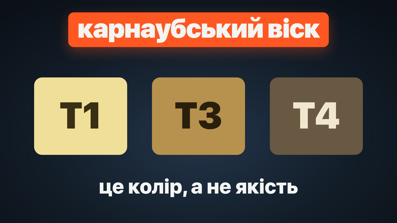 Карнаубський віск: як його добувають, що означають грейди T1–T4 і де він працює